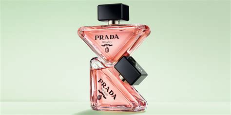 paradoxon prada|Prada paradoxe echo.